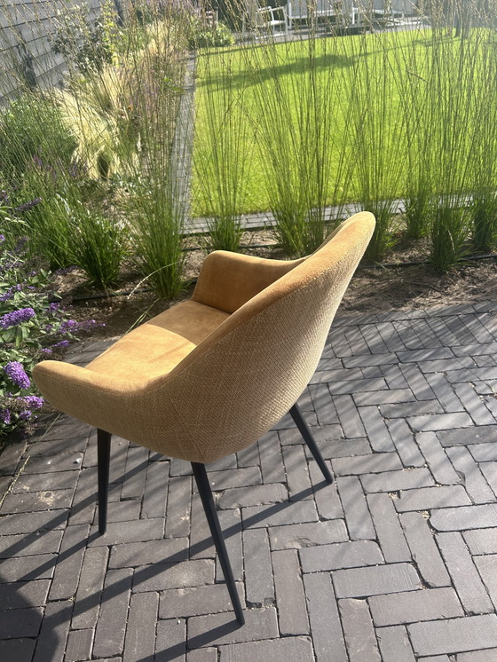 Image 1 of Eetkamerstoelen Montel type Lopez 6 stuks