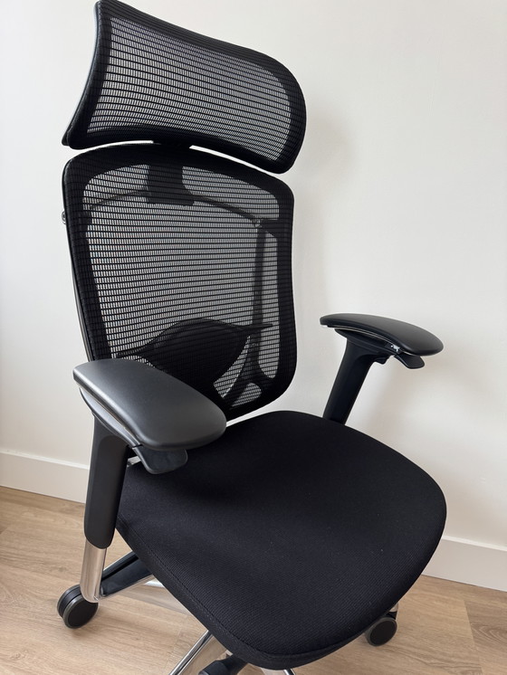 Image 1 of Okamura Contessa Seconda