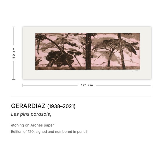 Image 1 of GERARDIAZ Les pins parasols Firmato incisione