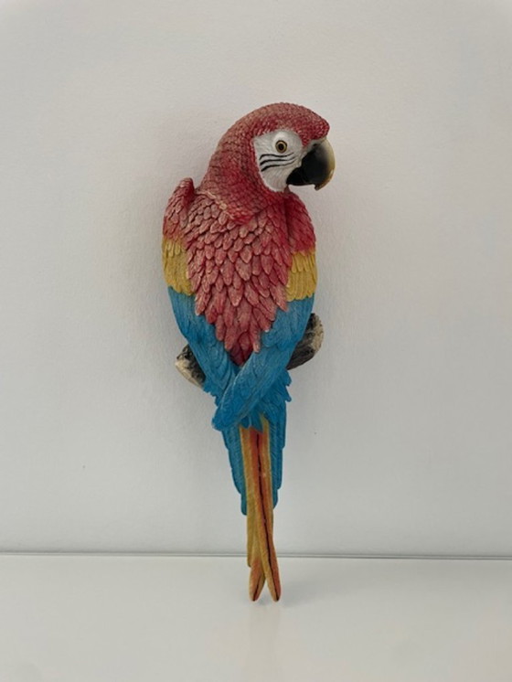 Image 1 of Wall sculpture red macaw parrot colorful design