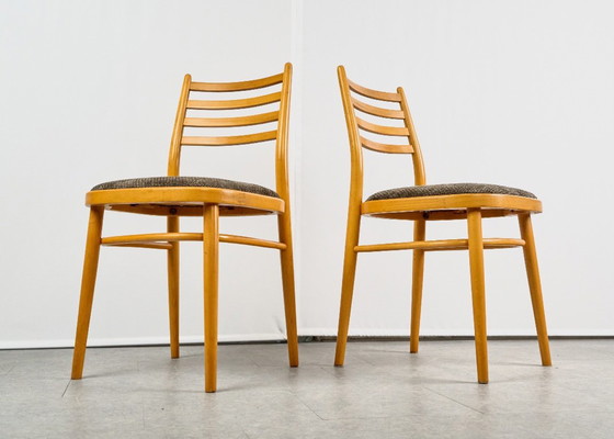 Set di 4 Sedie da pranzo, di TON, anni '60, Cecoslovacchia – Tessile, Legno (photo 4 of 20)