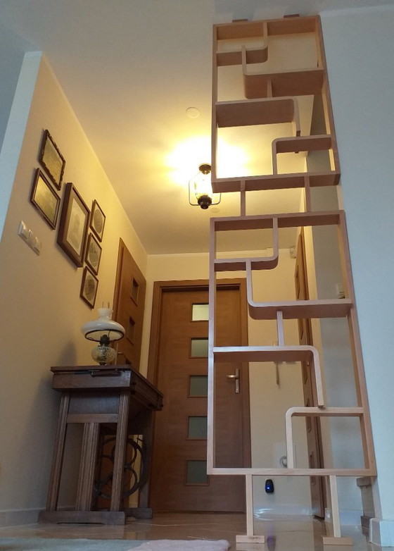Image 1 of Schermo, pareti divisorie, mensola curva in legno di faggio