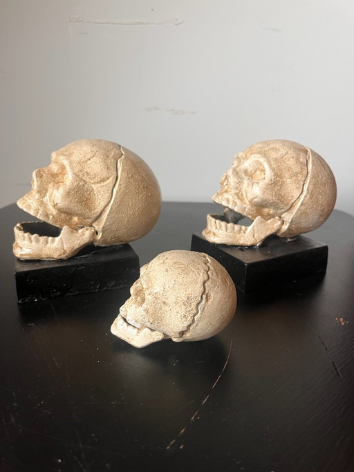 Calaveras antiguas de hierro fundido