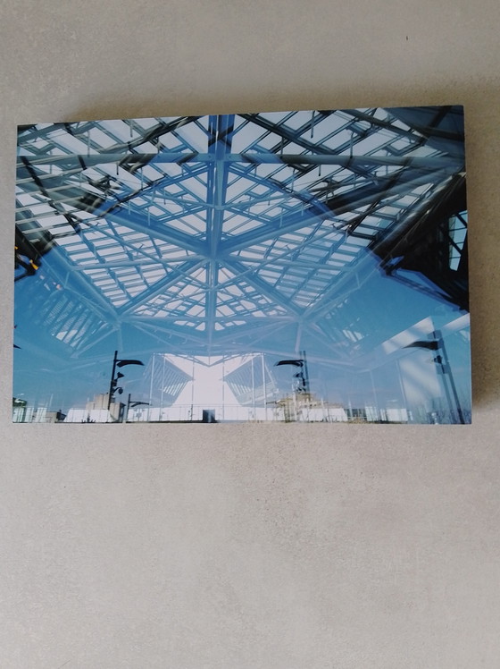 Image 1 of Photos of the Butterfly Palace Antwerp