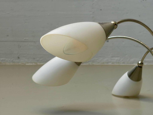 Vintage Chandelier with six tulip-shaped glass shades, 1960s – kroonluchters (photo 2 of 11)