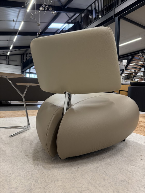 Leolux Pallone Pa Poltrona Senso Pelle – Poltrone, Leather (photo 5 of 10)