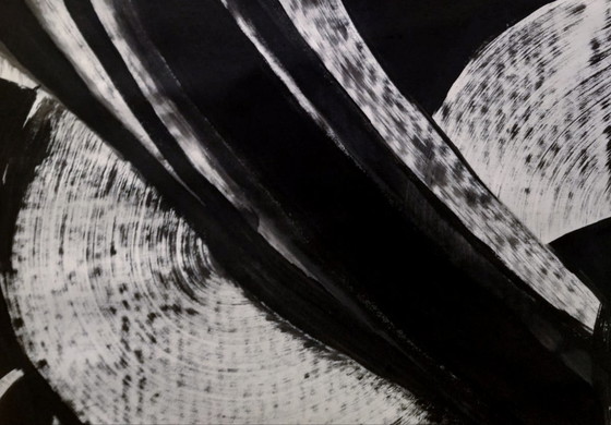 Image 1 of Walter Geraci - Capricorn XL