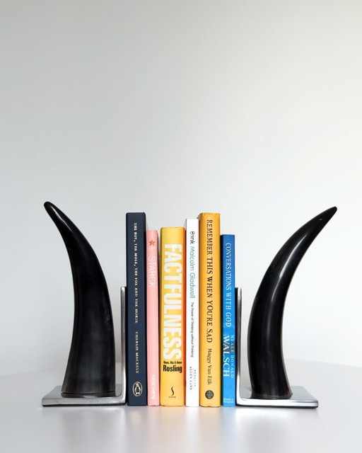 Natural Cow Horn Bookends