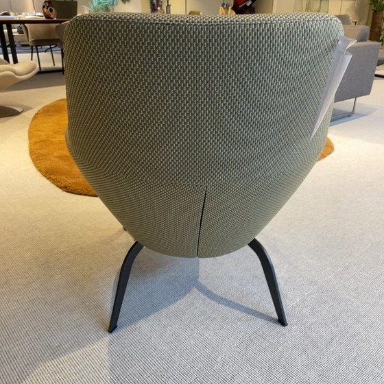 Image 1 of bert plantagie Zyba Low armchair