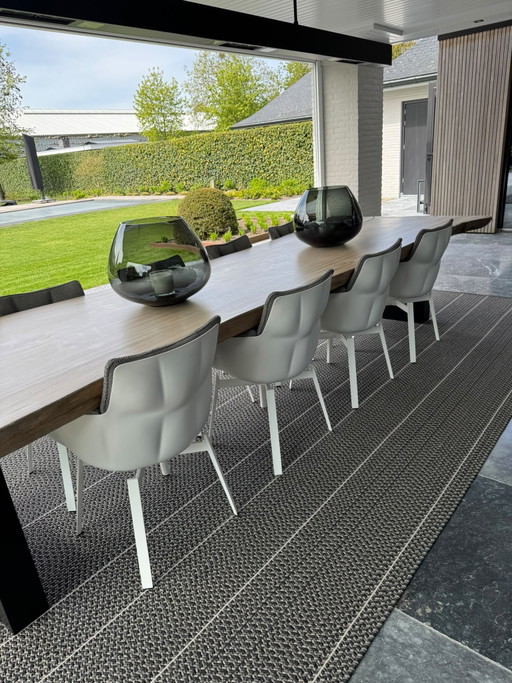 8 sillas Husk B&B Italia