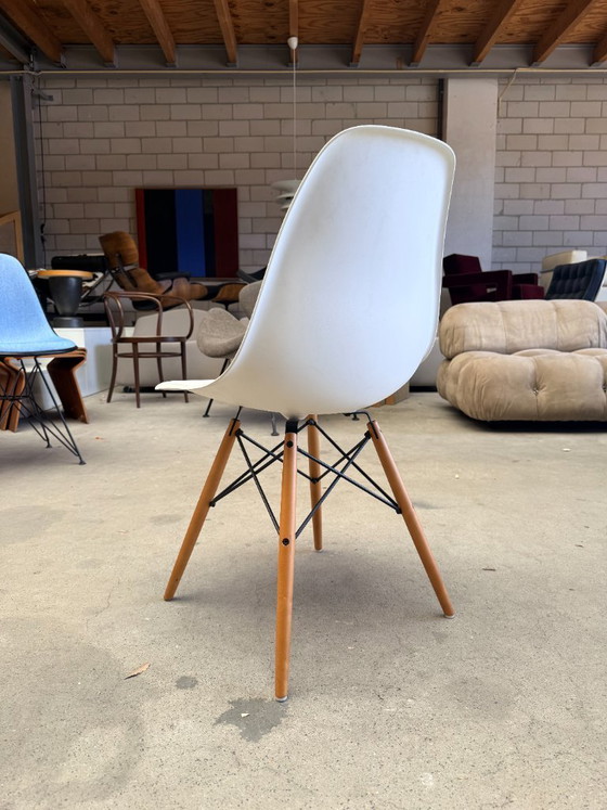 Silla Vitra Eames DSW – Sillas de comedor, Metal, Plastic (photo 7 of 10)