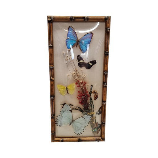 Papillons vintage en peluche dans un cadre