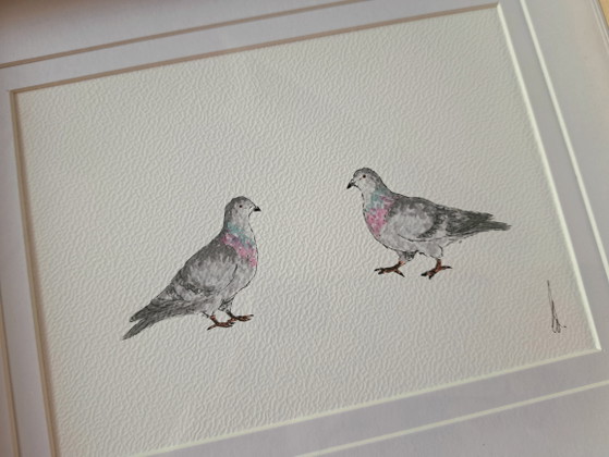 Image 1 of Original watercolor painting of doves in a frame