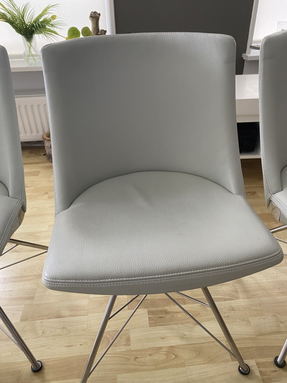 Set da pranzo di design Bert Plantagie: ceramica Zement Light e 4 sedie in pelle Indecom. – Leather (photo 5 of 7)