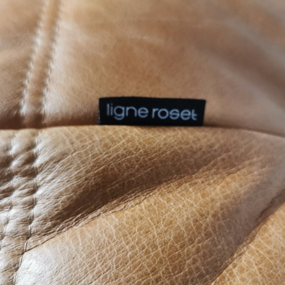 Image 1 of Ligne Roset Togo - single-seater - cognac