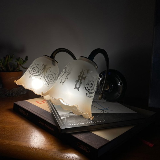 Pair of brass gooseneck wall sconces, screen-printed glass tulip shades, porcelain rosettes – Wall lights (photo 7 of 8)