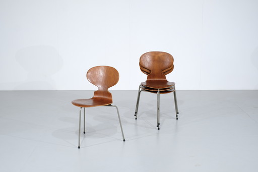 Ensemble de 4 chaises Fourmi modèle 3100 en teck par Arne Jacobsen ou Fritz Hansen - années 1950