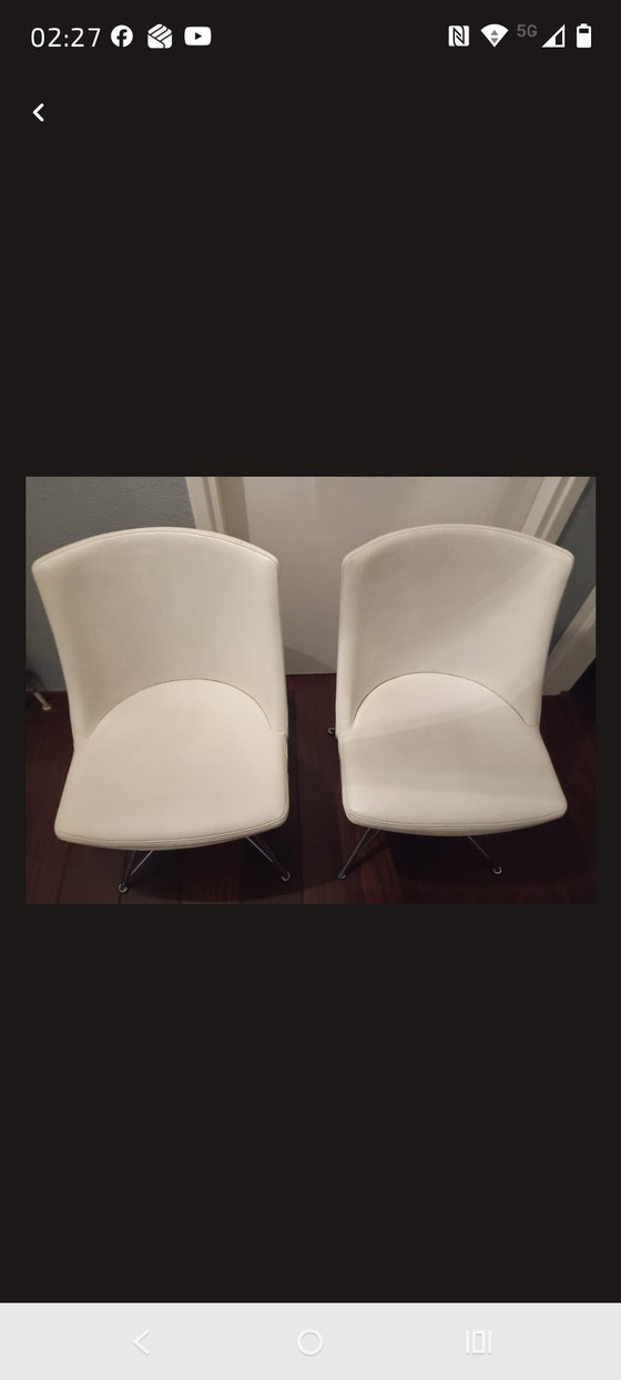 Image 1 of Sedia Bert Plantagie Rho Spin in vari colori di pelle