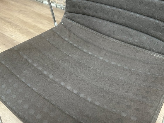 Arper Catifa 46 bracciolo, Fantasia | Lievore Altherr Molina, Sedie da camera, Tessile, Cromo, Nero, Modern (foto 13 di 15)