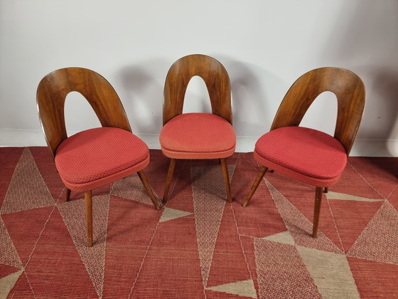 Image 1 of Vintage Chairs By Antonin Suman, 1960S, Set Of 3