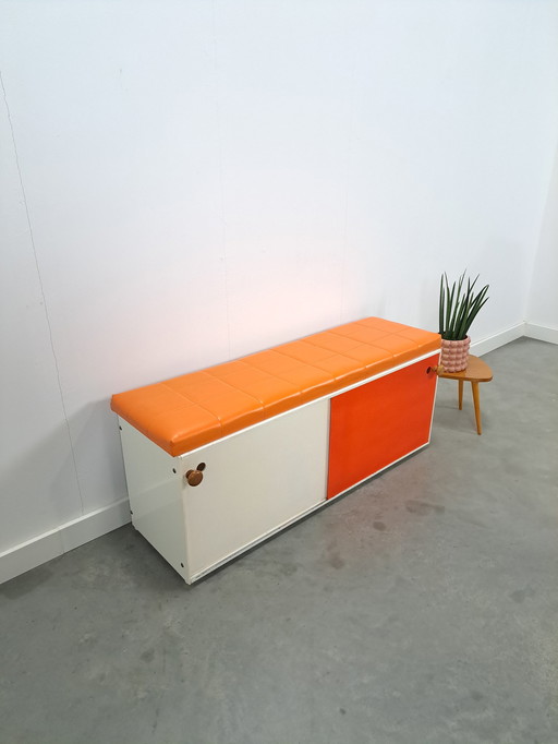 Shoe Cabinet With Bench and Colored Sliding Doors