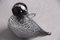 Anatre italiane con effetto nero e argento in vetro di Murano, anni '70, set da 2 – Sculture, Glass (photo 11 of 14)