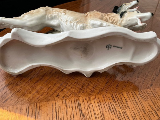 Image 1 of Bellissimi levrieri contrassegnati