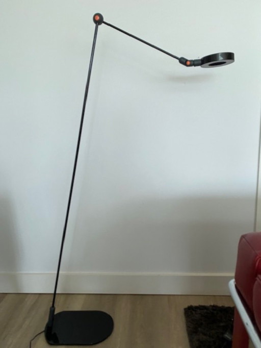 Martinelli Luce L'Amica