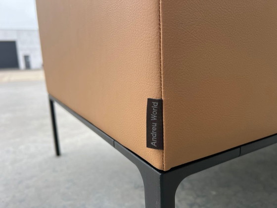 Image 1 of 2 divani in pelle Andreu World, Raglan SF