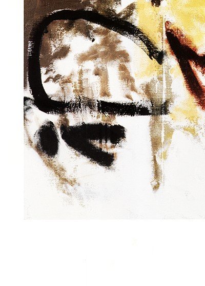 Image 1 of Vliet, Don van - Parapliers the Willow dipped 