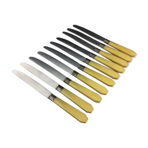 Set of 10 bakelite stainless steel knives