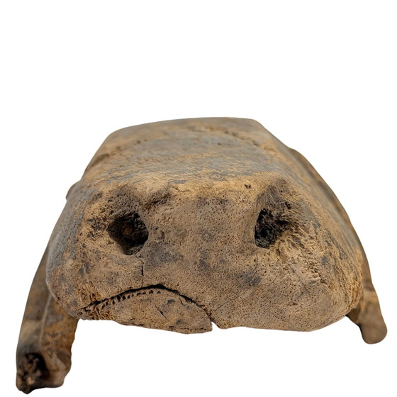 Antica maschera di cavallo Bamana del Mali – maschera in legno zoomorfa – Sculture, Wood (photo 7 of 7)