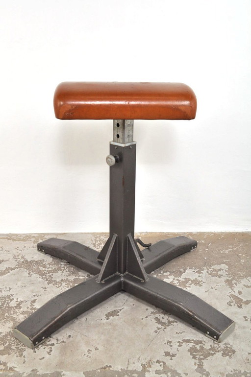 Vintage gymnastics buck as an eye-catcher