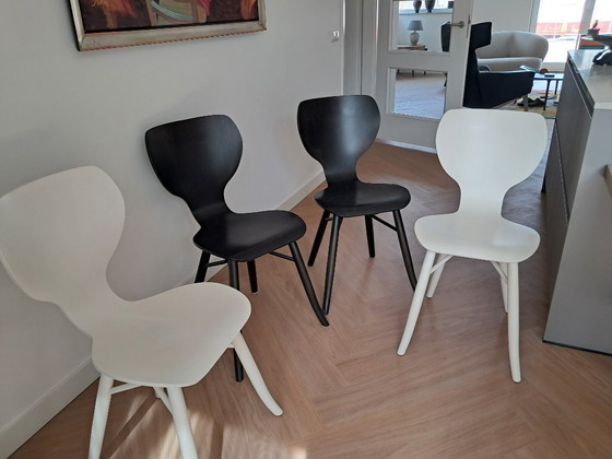Image 1 of 4 X Linteloo Tulipani eetkamerstoelen