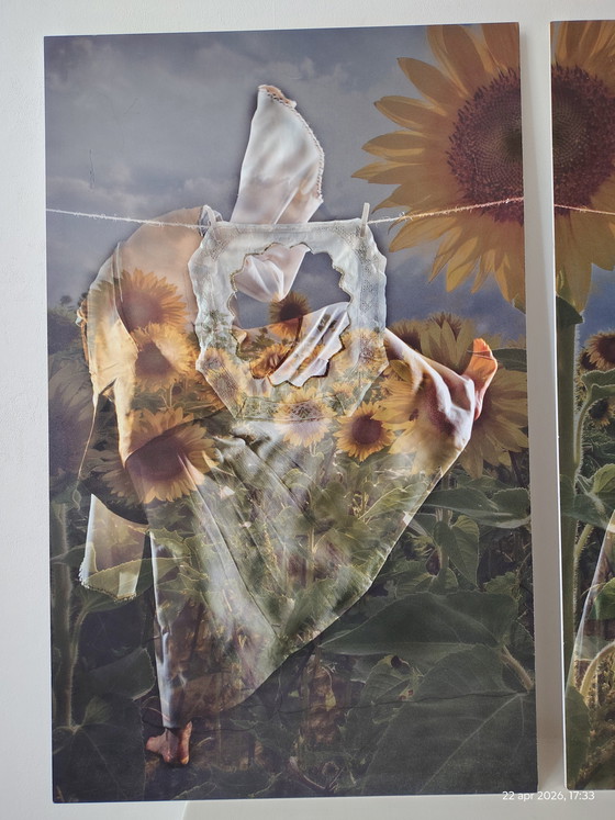 Image 1 of 2 obras fotográficas; título: girasol