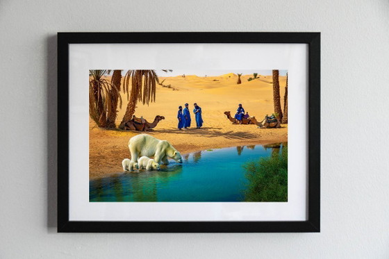 Image 1 of Fotografia stampata e incorniciata / cornice decorativa / Edizione limitata / Firmata / Orsi nel deserto