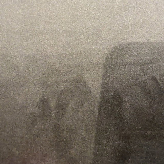 Image 1 of Bert Plantagie Kiko barkuk (set van 4)