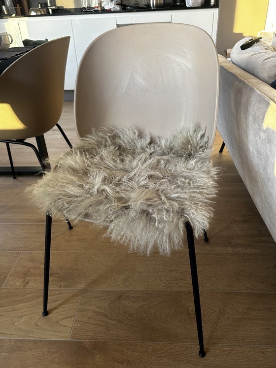 Image 1 of Set di sedie da pranzo di design Gubi (2x Scarabeo, 2x Pipistrello)