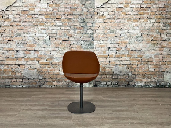 Image 1 of 6x Zanotta Eva