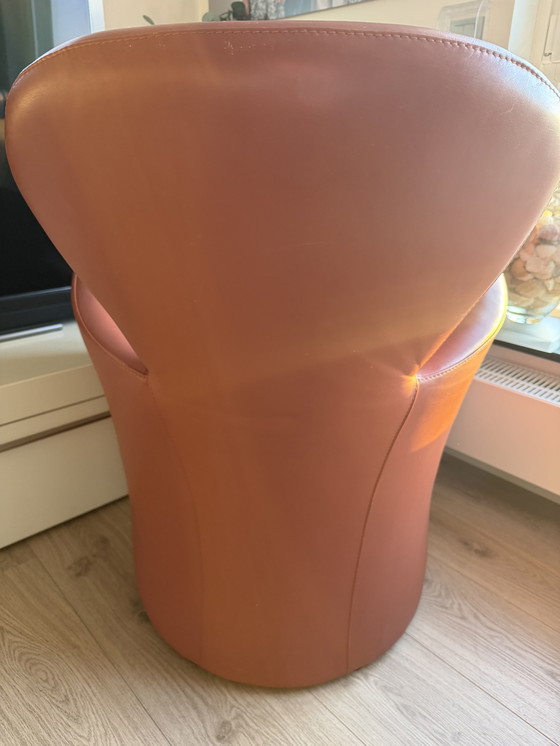 Image 1 of Leolux Amphora Ledersessel.