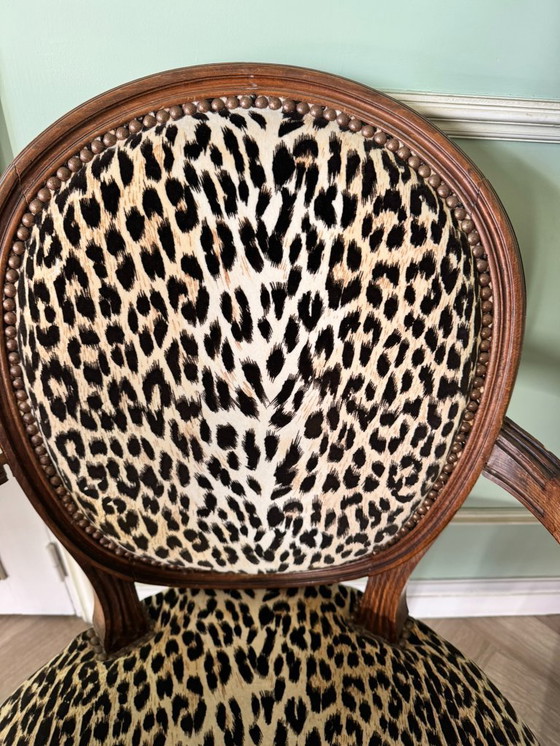 Image 1 of Trio di poltrone a medaglione Luigi XVI – Stile leopardo / Chic & Bold