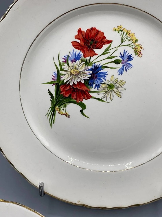 6 piatti piani Orchies Moulin des Loups, decoro con fiori di campo, maiolica francese vintage (photo 3 of 5)