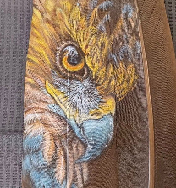 Image 1 of Sandra Melin Raptor Acrilico su piuma di tacchino nera