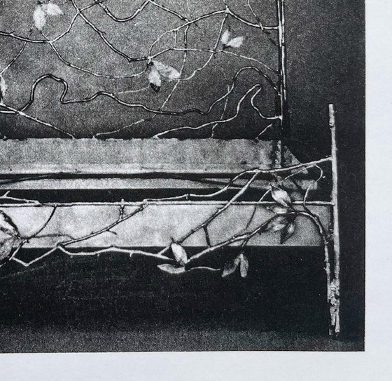 Image 1 of Claude Lalanne, Lit Bou, Heliogravure