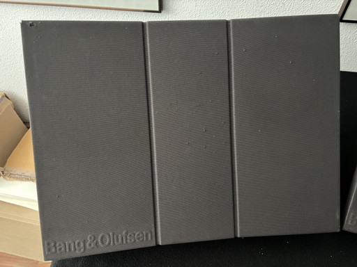 Haut-parleurs Bang&Olufsen RL45.2 (type 6514)