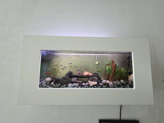 Acquario da parete unico con cornice bianca 80 cm – Decorazioni murali, Other (photo 7 of 7)