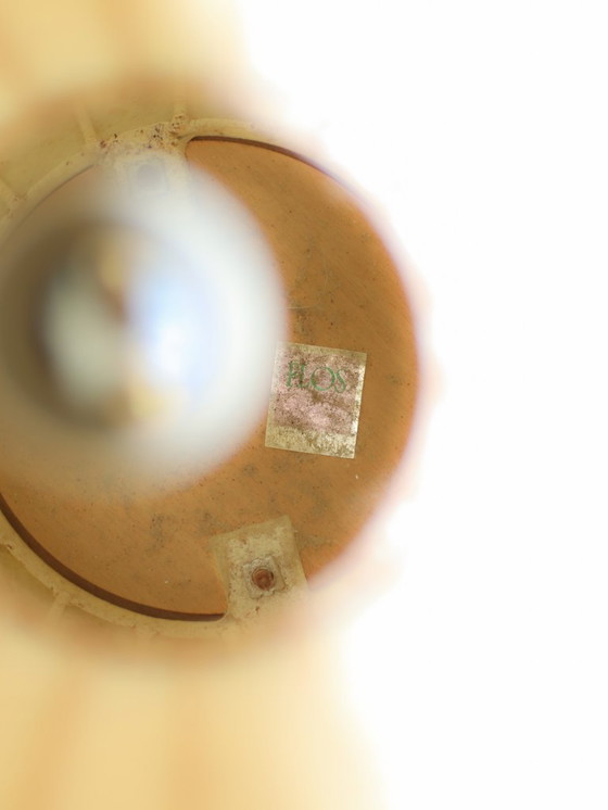 Image 1 of Gatto Kokon Tischleuchte Flos Giacomo Castiglioni Italien