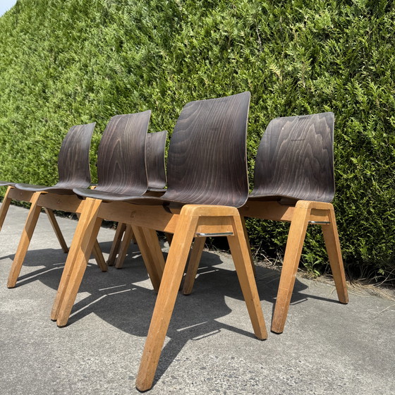 Image 1 of 16 Stühle - ADAM STEGNER für PAGHOLZ FLÖTOTTO