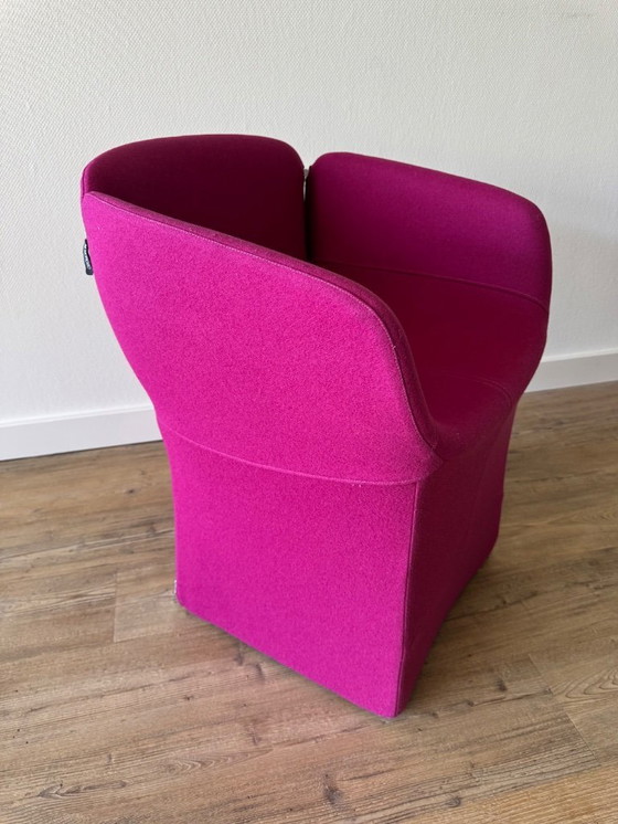 Image 1 of Moroso Bloomy