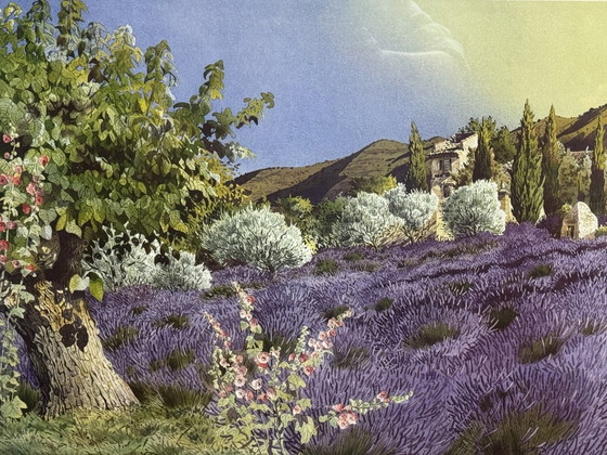 Image 1 of 'Campi di lavanda in Provenza' di D. Broussie, serigrafia, Francia, fine del XX secolo
